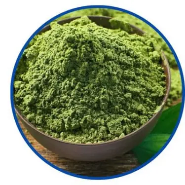 Green Tea Extract